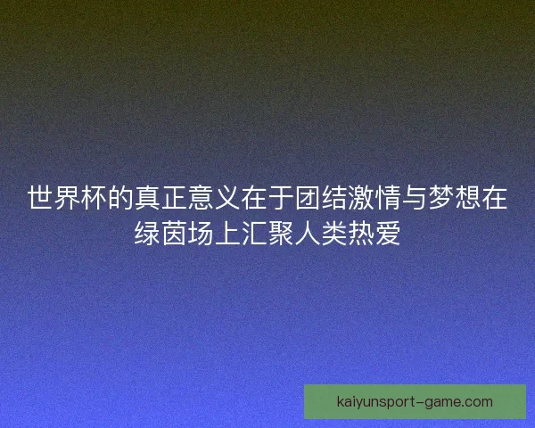 世界杯的真正意义在于团结激情与梦想在绿茵场上汇聚人类热爱